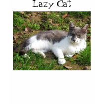 Lazy Cat T-Shirt by AnaNarcis Lazy Cat T-Shirt