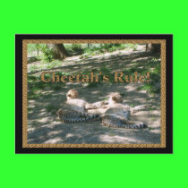 Lazy Cheetahs postcards by Dragonmaster45 Lazy Cheetahs postcards
