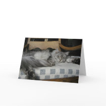 "Lazy Day" cards by Hauki "Lazy Day" cards
