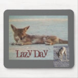 Lazy Day mousepads