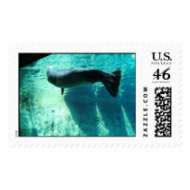 Lazy Day Swim postage