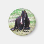 Lazy Days Magnet