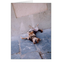 Lazy Dog cards by Kazzy Lazy Dog cards
