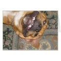 lazy dog cards by peacefullhearts lazy dog cards