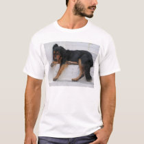 Lazy Dog t-shirts by Maria_K_Bell Lazy Dog t-shirts