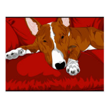 Lazy English Bull Terrier Dog Breed Illustration Postcards