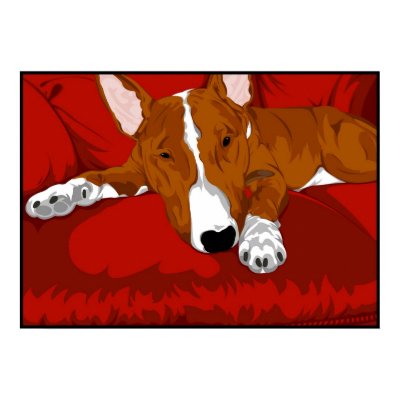 Lazy English Bull Terrier Poster by jfarrell12