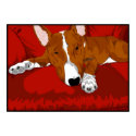 Lazy English Bull Terrier posters