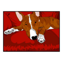 Lazy English Bull Terrier posters