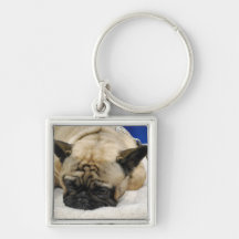 Lazy French Bulldog Key Chains