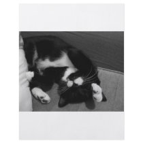 Lazy Kitten Custom Flyer