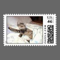 lazy kitty postage by fleeting_princess93 lazy kitty postage