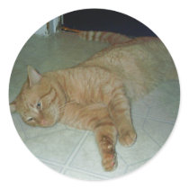Lazy Kitty stickers by SusieQuinn Lazy Kitty stickers