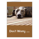 Lazy Lurcher Greetings Card