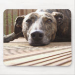 Lazy Lurcher mousepads