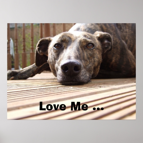 Lazy Lurcher Poster