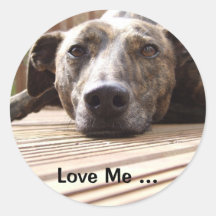 Lazy Lurcher Stickers