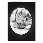 LAZY MASTIFF cards