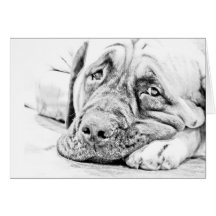 Lazy Mastiff Greeting Cards