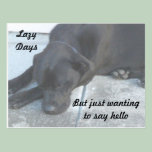 Lazy Midnight Just Wants To Snooze postcards