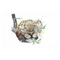 Lazy old Leopard posters