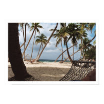 Lazy Palm Tree Days posters by PhotographersEye Lazy Palm Tree Days posters