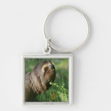 Lazy Sloth Keychain