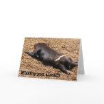 Lazy Tassie Devil Greeting Card