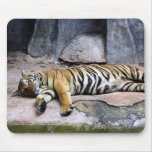 Lazy Tiger mousepads