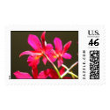 Lctna. 'Highland'  postage