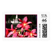 Lctna. 'Highland' study III postage