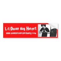 LDBH Aiden Bumper Sticker