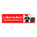 LDBH Aiden Bumper Sticker