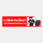 LDBH Aiden Bumper Sticker