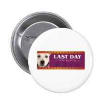 LDDR Pin
