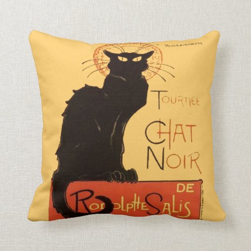 cat noir body pillow amazon