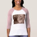 Ladies 3/4 Sleeve Raglan (Fitted)