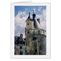 Le château de Chenonceau, Loire Valley, France cards by christellewiggins Le château de Chenonceau, Loire Valley, France cards