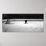 le goal posters