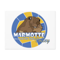 le marmotte di ovindoli postcards by simmonsstummer le marmotte di ovindoli postcards