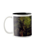 Le Puits-Noir, Doubs mugs