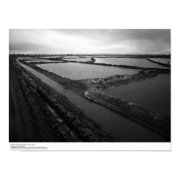 Leaching Ponds, Near El Centro, January 1966 print