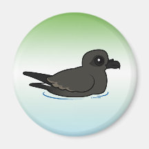 Leach's Storm Petrel (swim) Refrigerator Magnets