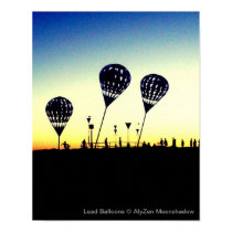 Lead Balloons Poster posters