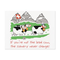 Lead Cow Postcard
