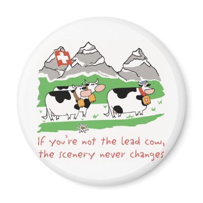 cow round