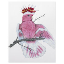 Leadbeater Cockatoo Letterhead Design