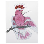 Leadbeater Cockatoo Letterhead Design