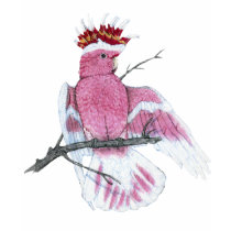 Leadbeater Cockatoo t-shirts