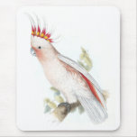 Leadbeater’s Cockatoo by Edward Lear Mouse Pads